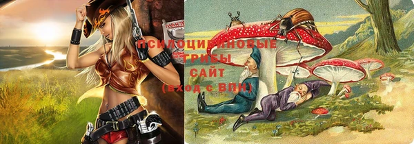 гашик Балахна