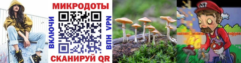 купить наркоту  Электросталь  Галлюциногенные грибы Psilocybe 